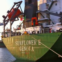 Nave di carbone - Coal carrier