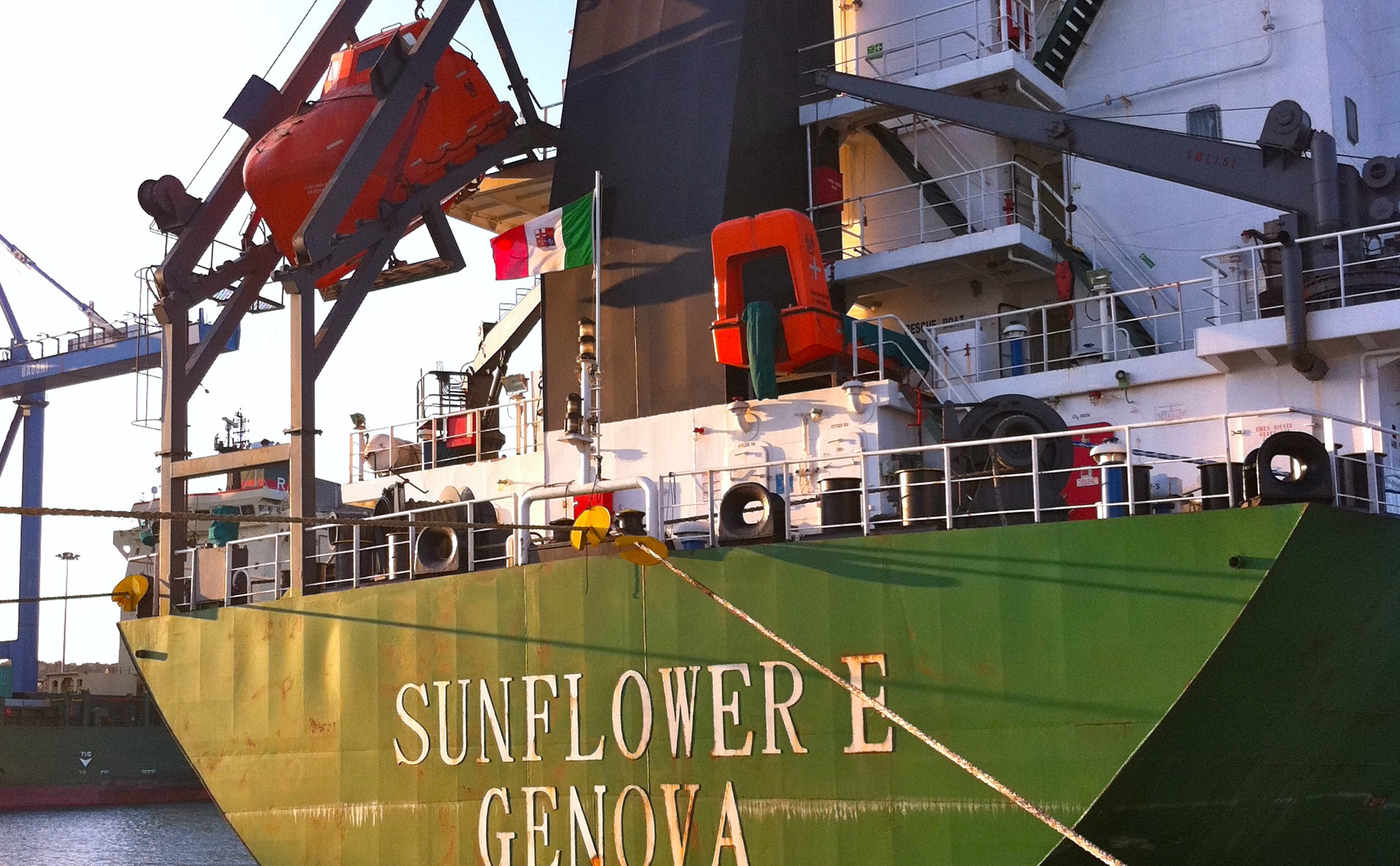 Nave Sunflower per il trasporto carbone Sunflower Sunflower Ship for Coal transport